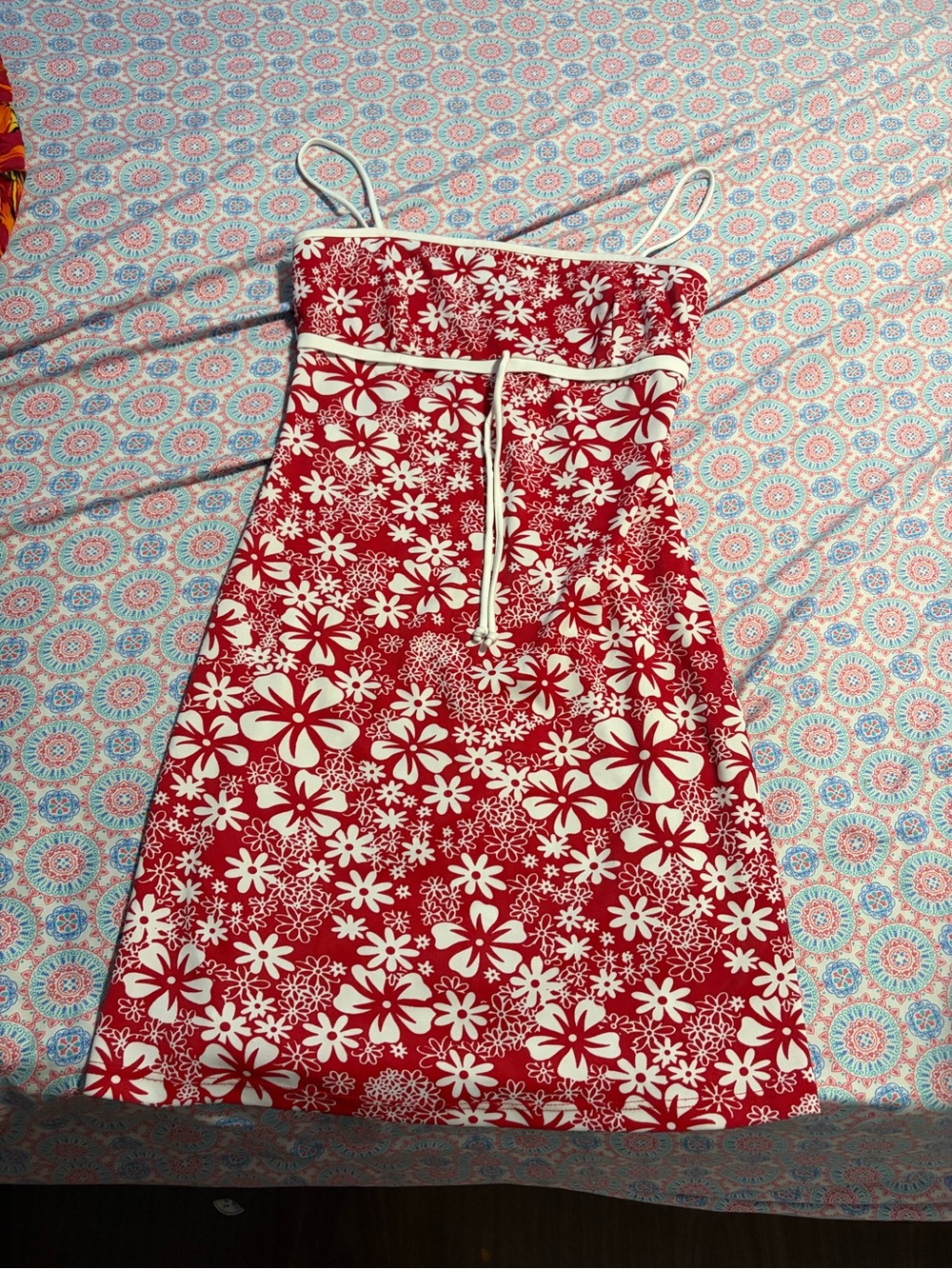 art class Red and White Floral Mini Sundress